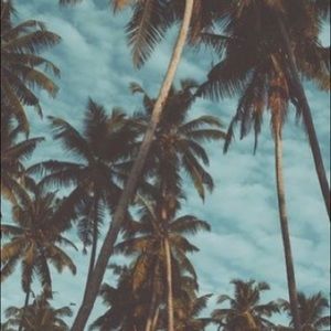 ᗰEET YOᑌᖇ ᑭOᔕᕼEᖇ.! ☆